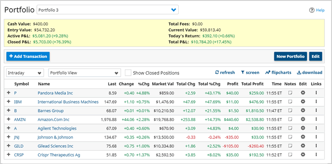 Google Finance My Portfolio Chart